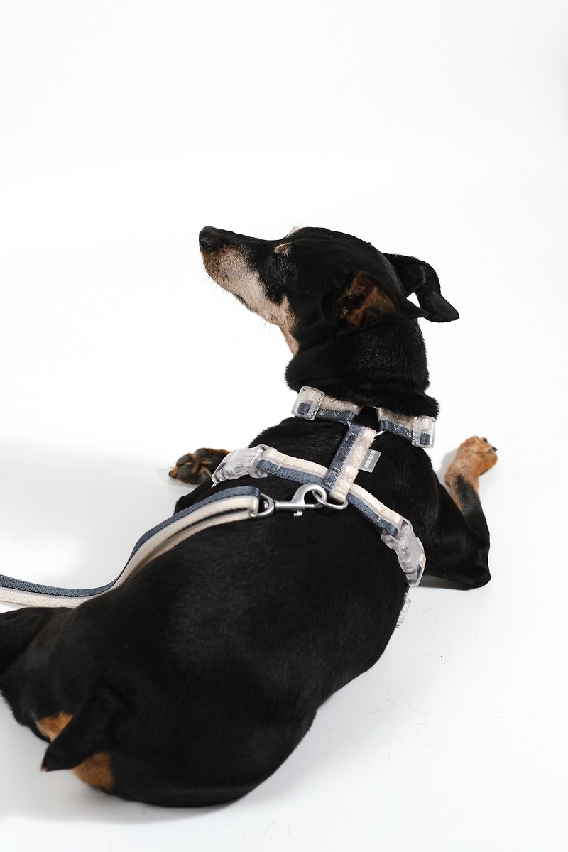 愛犬用ハーネス・リード ストームカラー - 首輪・リード - その他の化学繊維 