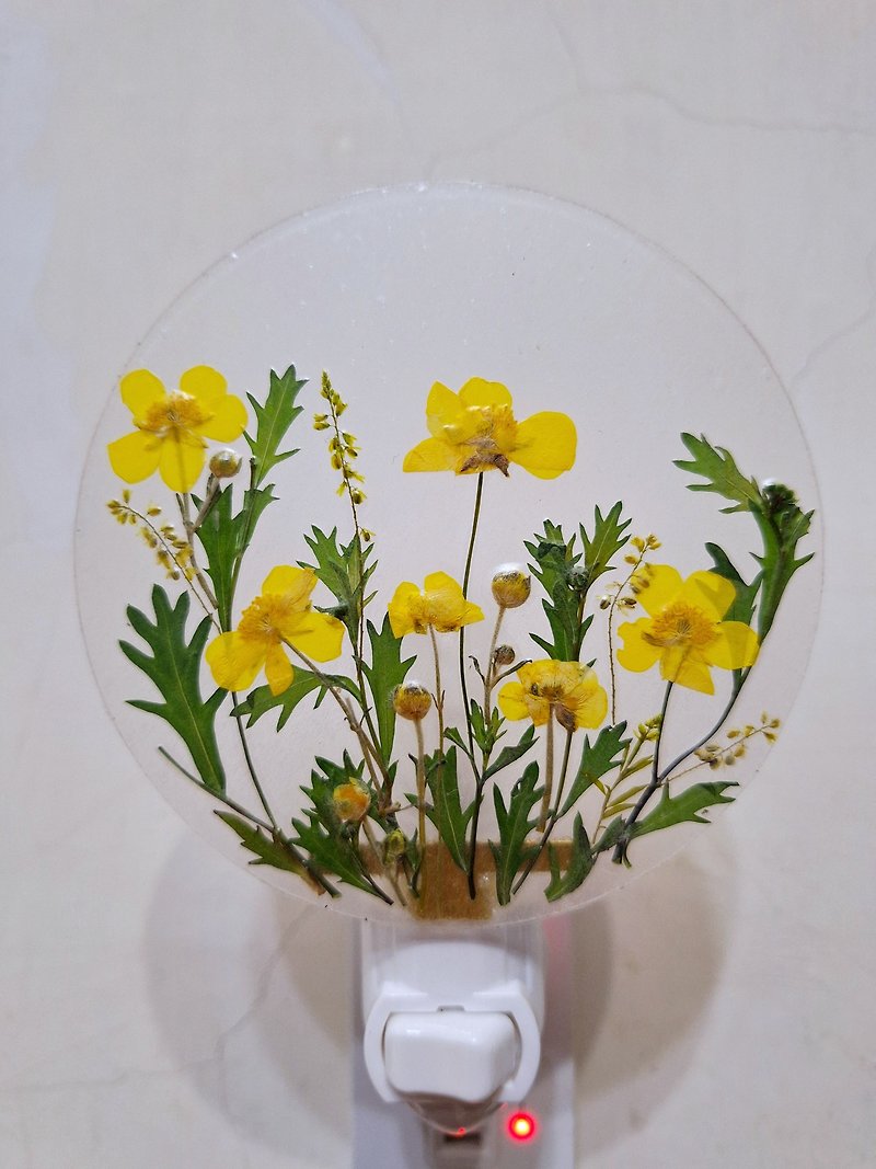 Pressed flower nightlight, Home Decor,Hand craft - Lighting - Plastic Multicolor
