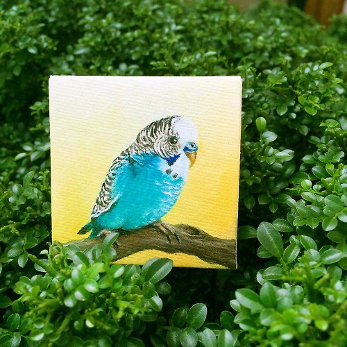 セキセイインコの油絵 5 枚セット。ミニインコオリジナルのミニチュア鳥のポートレート。