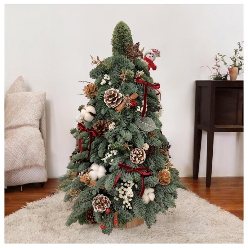 PreOrder Christmas Collection: Noble Pine - Plants & Floral Arrangement - Plants & Flowers 