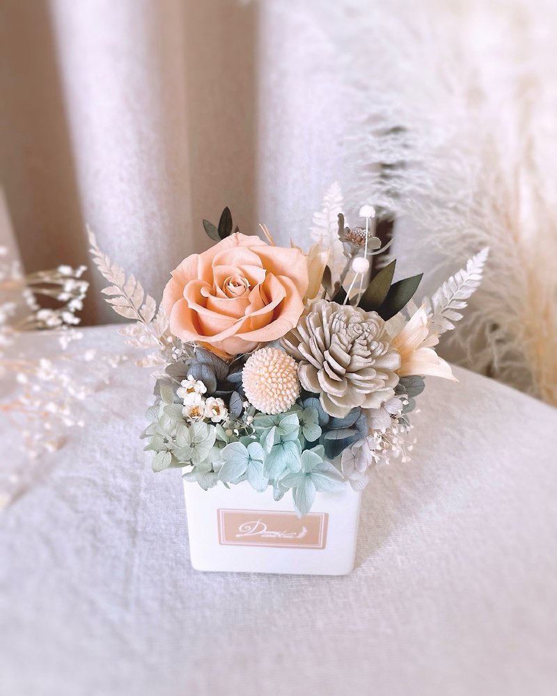 Preserved potted flowers - Morandi Hue l Japanese rose dried potted flowers dried flowers opening housewarming - Dried Flowers & Bouquets - Plants & Flowers Gray