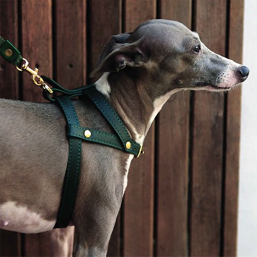 MrAndMrsSniff Classic pet harness-Soft genuine leather | Sniff