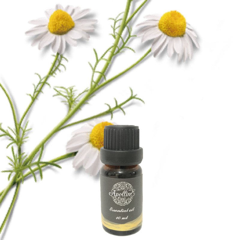 German blue chamomile essential oil BLUE CHAMOMILE - Fragrances - Essential Oils 