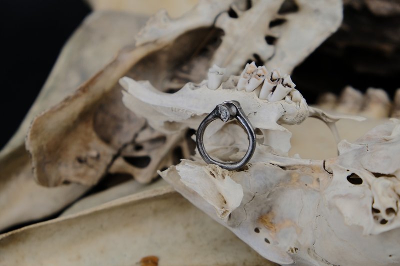 【山骸紀】遺留的記IV—鳥肱骨開口戒 - 戒指 - 銀 銀色