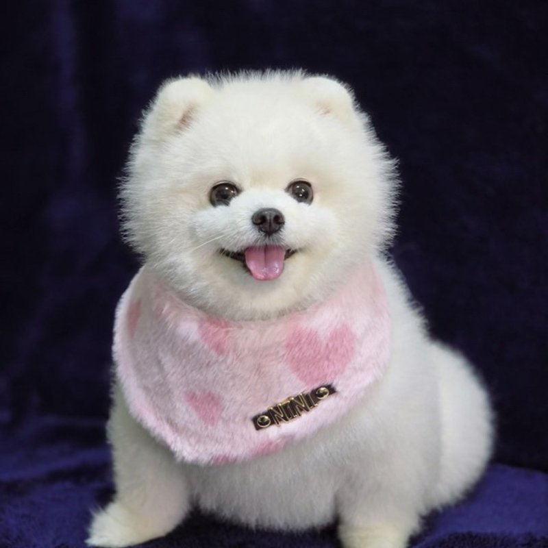 Custom Pet Collar Bandana personalised name metal letters cute pink heart shape - Clothing & Accessories - Other Materials Pink