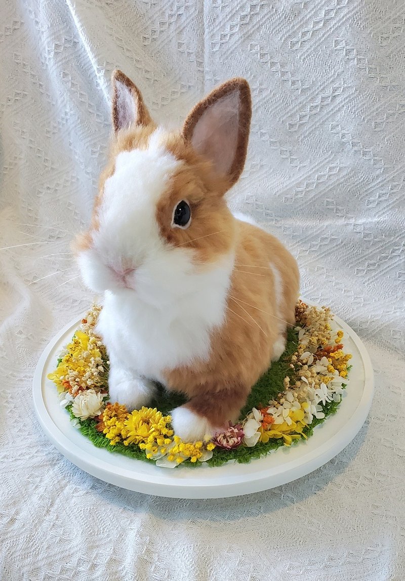 【客製羊毛氈】擬真兔兔 (30cm) - 客製化寵物商品 - 羊毛 白色