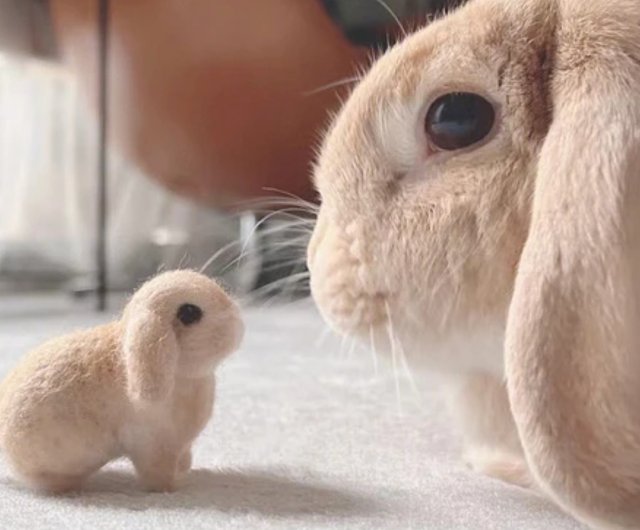 オーダーメイドペット】羊毛 フェルト ぬいぐるみ うさぎ