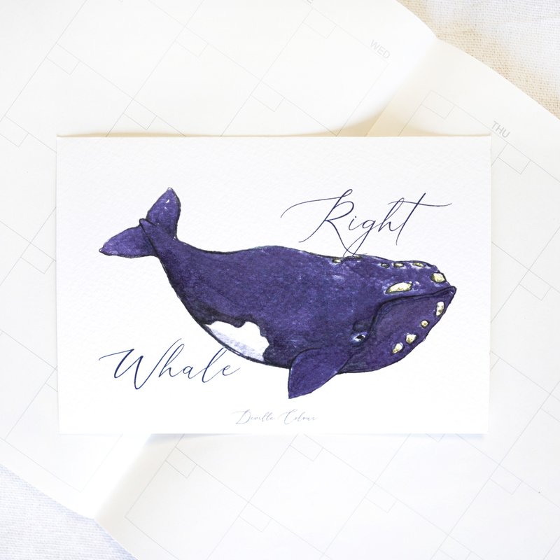 【鯨歸何處 - Right Whale 露脊鯨】明信片 - 卡片/明信片 - 紙 藍色
