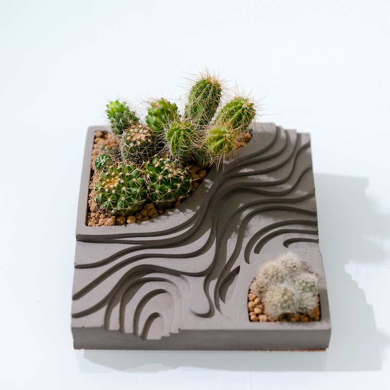 水泥基地模型 - 仙人掌植物 - 植栽/盆栽 - 水泥 灰色