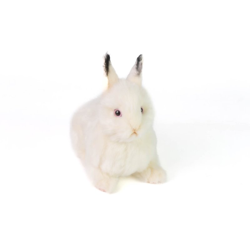 Hansa 7805-Rabbit (cream color) 23 cm long - Stuffed Dolls & Figurines - Eco-Friendly Materials White