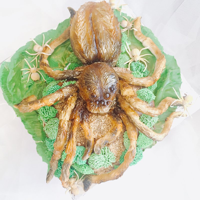 跑跑蜘蛛造型翻糖蛋糕 - 鹹派/甜派 - 新鮮食材 咖啡色