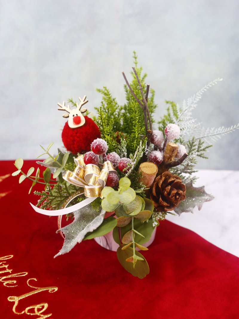 喜樂聖誕紅色喜洋洋香氛花禮 /居家/佈置/香氛/禮物/聖誕節/花禮 - 盆栽/植栽 - 其他材質 綠色