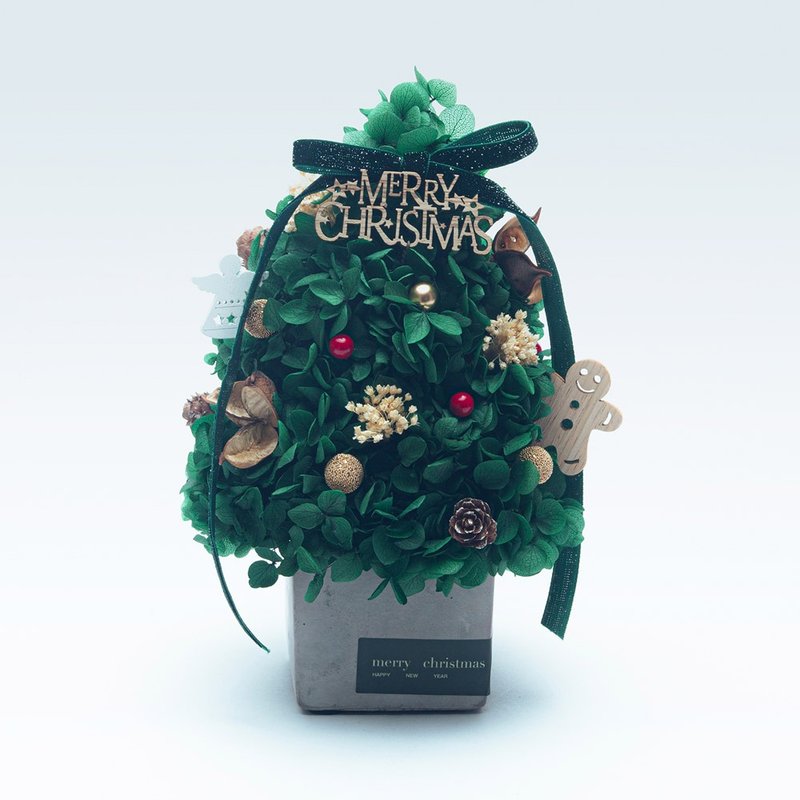 糖果森林聖誕樹 鮮綠 永生花 聖誕限量 交換禮物 聖誕節 聖誕佈置 - 擺飾/家飾品 - 植物．花 