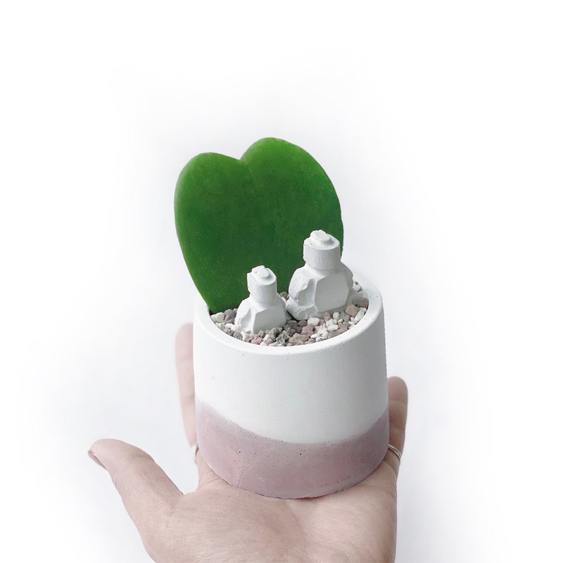 (預購) 莫蘭迪粉系列 | me & you 心葉球蘭  圓形水泥植栽 - 盆栽/植栽 - 植物．花 粉紅色