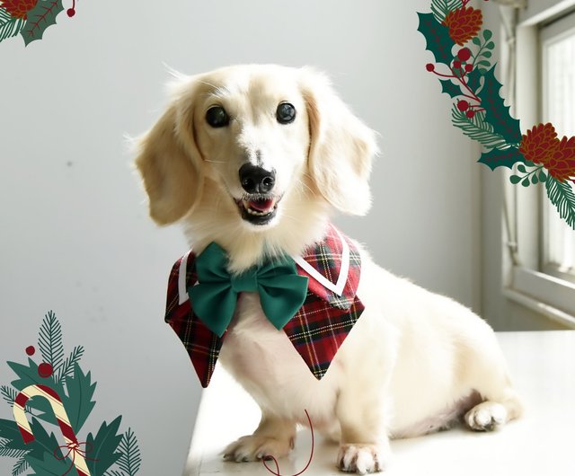 Pet deals christmas scarf