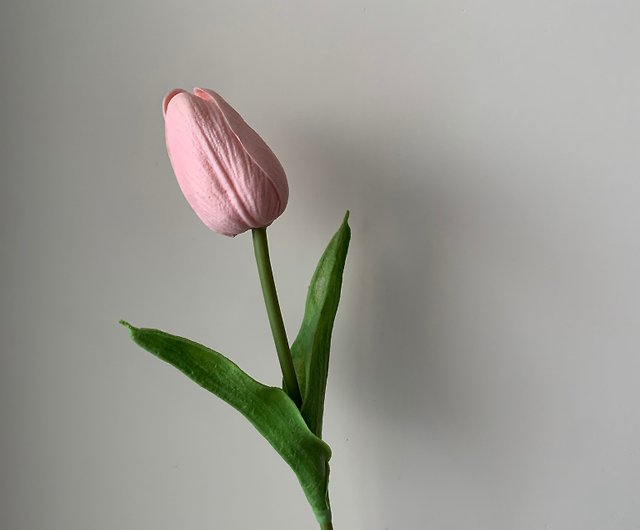 Tulip Cotton