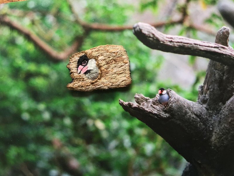 温州野鳥刺繍ブローチの木の穴 - ブローチ - 刺しゅう糸 ブラウン