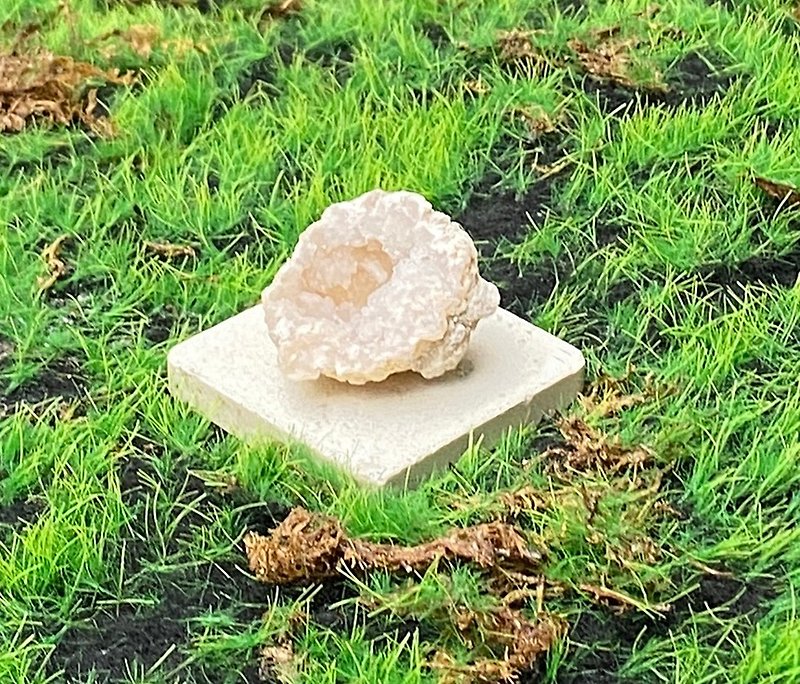 エネルギー装飾​​ - 幸運のかわいい貝殻の形の瑪瑙小さなホワイトジオード幸運の幸運の原石収集富 - 置物 - クリスタル 多色