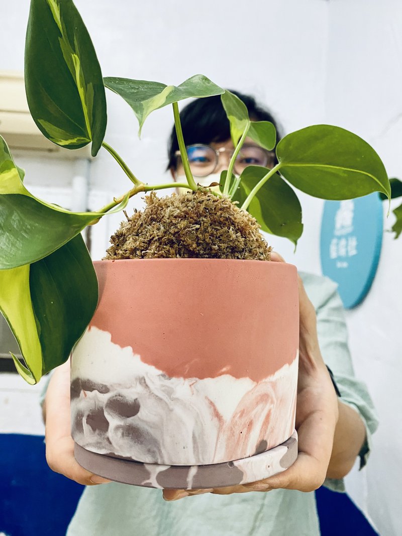 【手作水泥盆體驗課程】小琉球/ 含苔球教學 - 植栽/花藝 - 水泥 