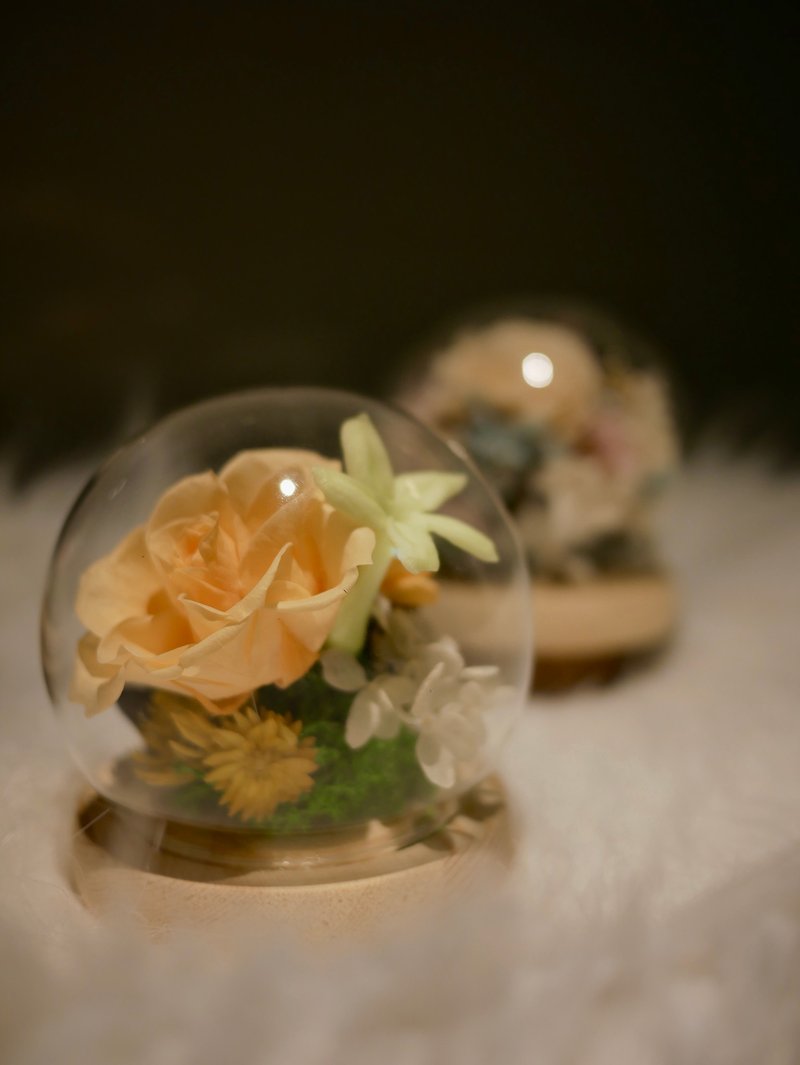 橘色系永生花玻璃罩 玻璃盅 水晶球 畢業禮物 乾燥花