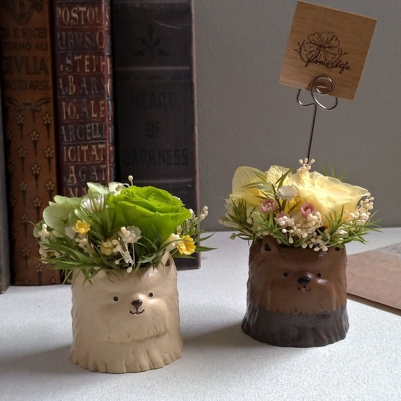 【Woof Woof│Yorkshire】memo table flower│everlasting flower│dried flower - Dried Flowers & Bouquets - Plants & Flowers 