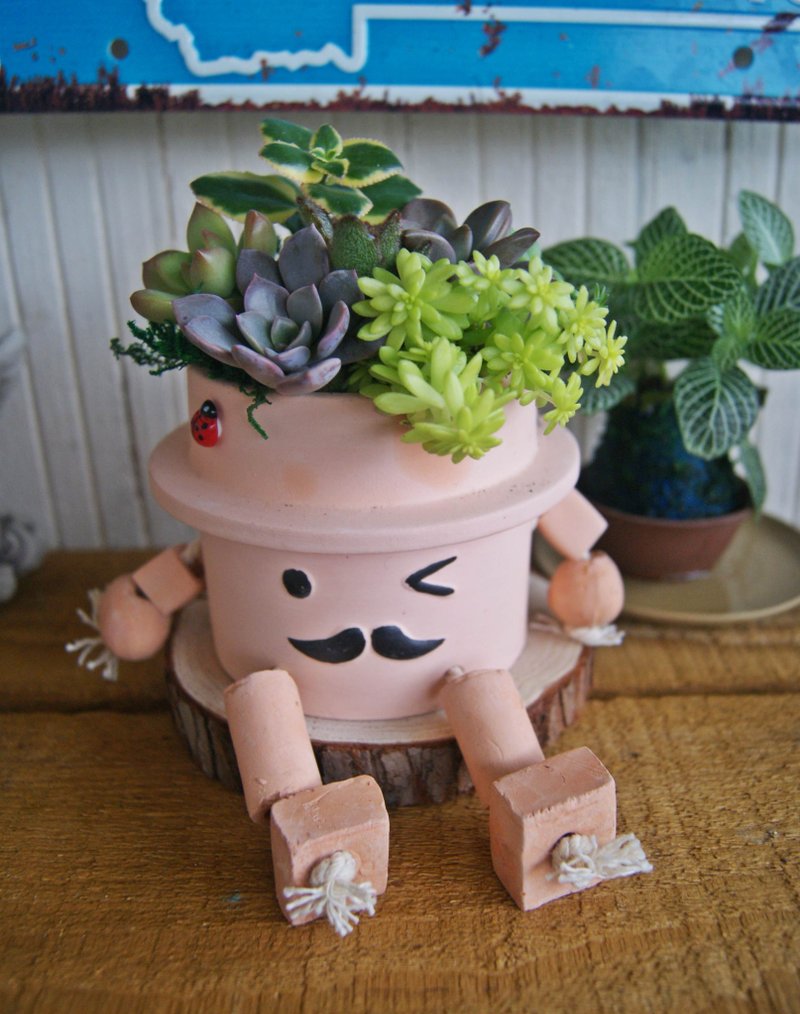 Mr. Beard X potted succulents - ตกแต่งต้นไม้ - พืช/ดอกไม้ 