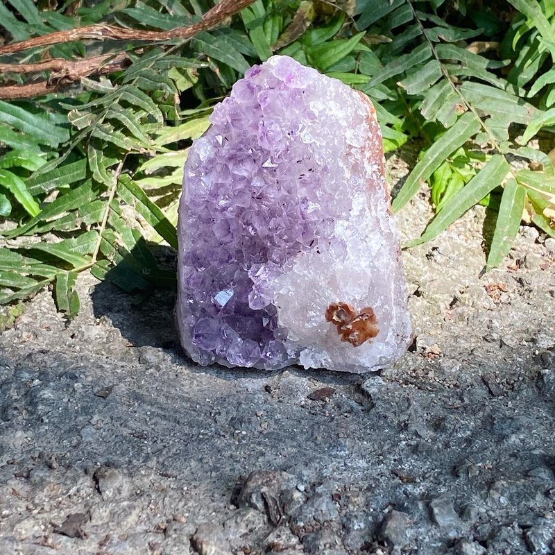 【Lost and find】異像 花形 夢幻 紫水晶 黑雲母 共生 擺件 - 擺飾/家飾品 - 寶石 紫色