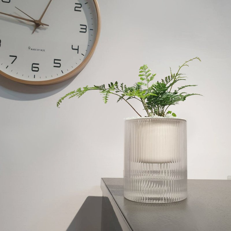 Muji style rabbit's foot fern potted plant - ตกแต่งต้นไม้ - พลาสติก สีใส