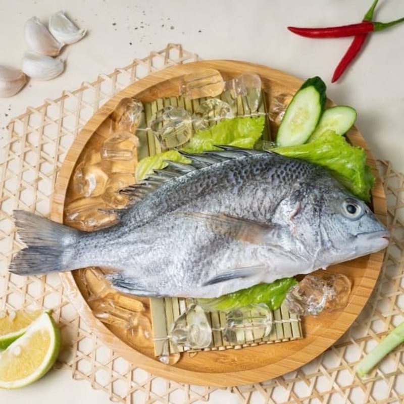 Ecologically cultured black sea bream - Other - Fresh Ingredients 