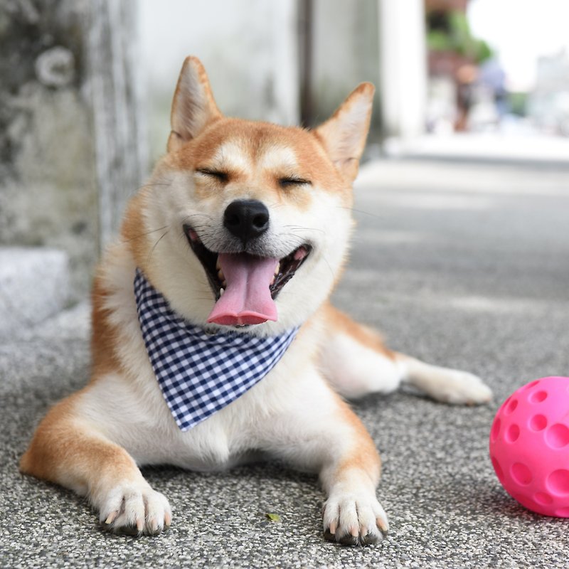 Dog Blue and White Scarf - Without collars【ZAZAZOO】 - Collars & Leashes - Polyester Multicolor