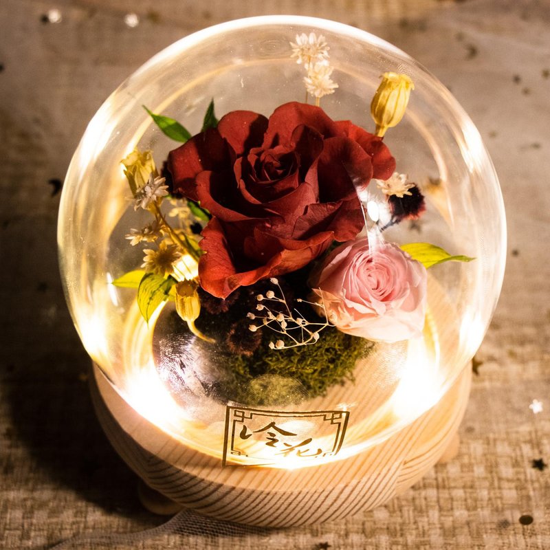 Preserved Flower Small Glass Dome with LED lights (GDP01L) - Red - Items for Display - Plants & Flowers Red