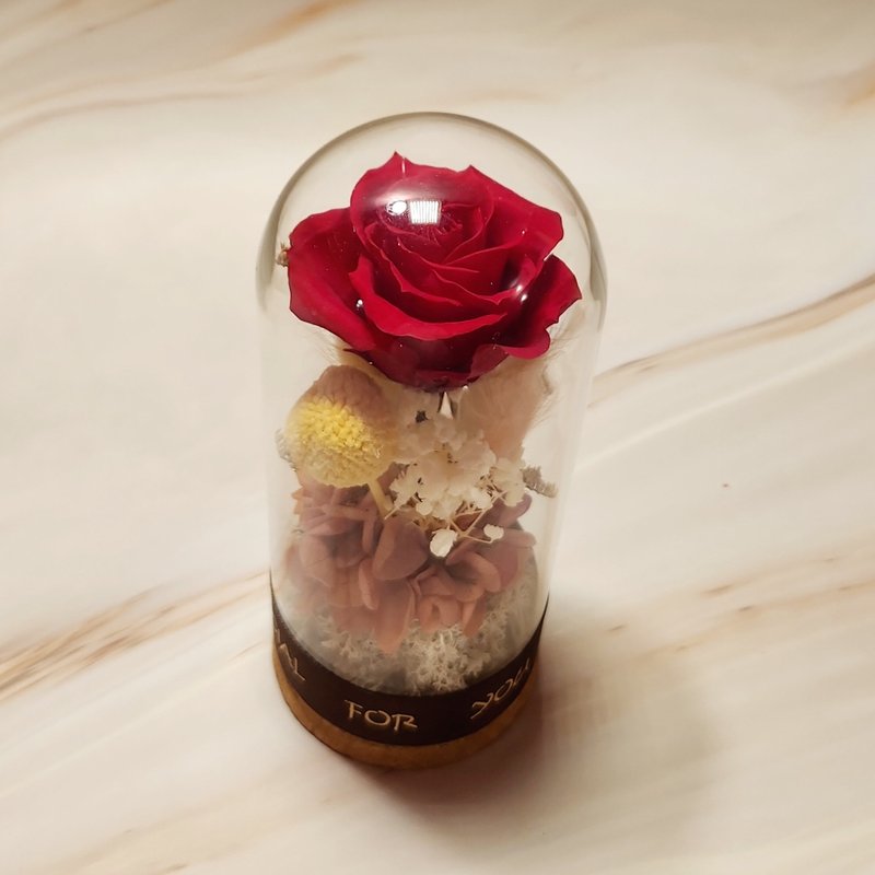 Everlasting rose wishing bottle-Cherry Red - Dried Flowers & Bouquets - Plants & Flowers Red