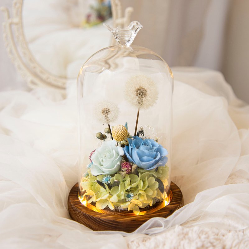 【約定】 蒲公英 永生花 乾燥花 LED 玻璃罩 夜燈 / 生日 新居 - 燈具/燈飾 - 植物．花 藍色