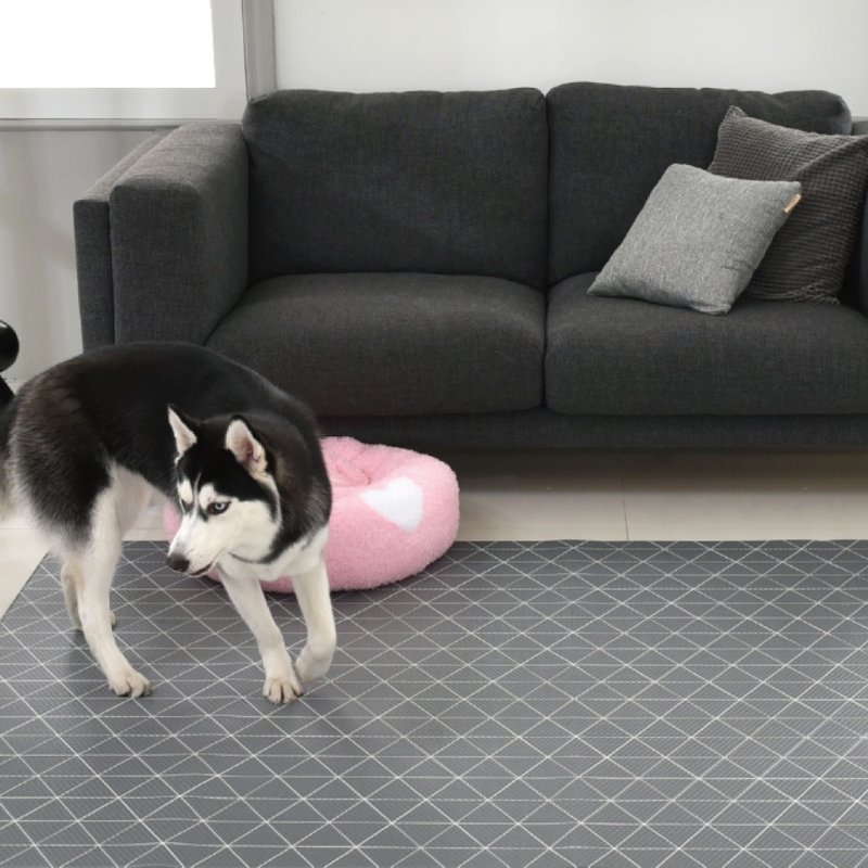 Koreanmade dfang Dibang pet cooling game matmodern triangle (scratch