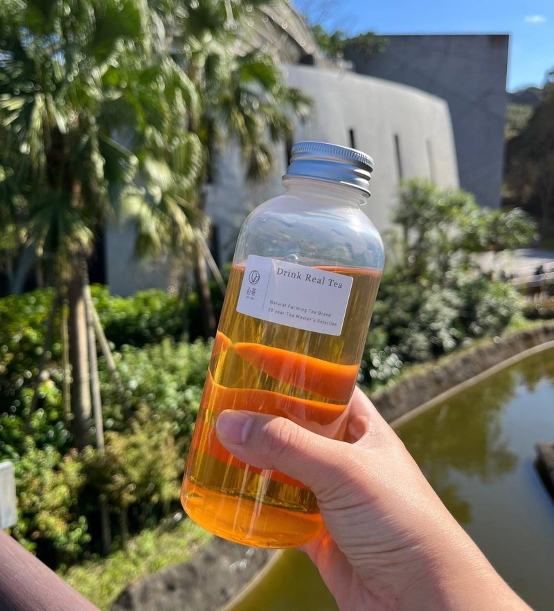 PP冷泡茶專用瓶(500cc) 安全材質 , 可重複使用 - 水瓶/水壺 - 新鮮食材 