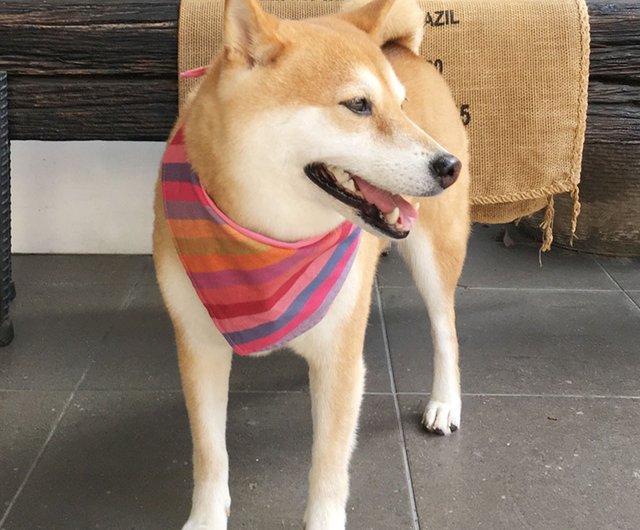 首輪みたいなスカーフ トップ 名称