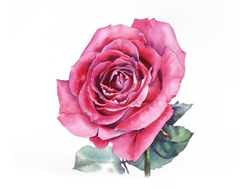 WallArtHome Pink rose original watercolor painting by artist Irina Zhunaeva
