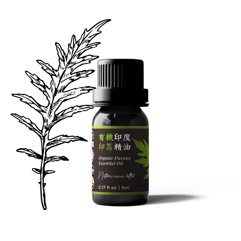 【卡佛香】有機印度印蒿精油 - 香氛/精油/擴香 - 玻璃 黑色