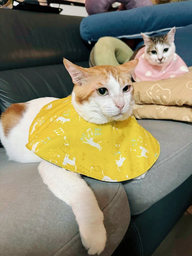 Waterproof hood for cats - Clothing & Accessories - Cotton & Hemp Yellow