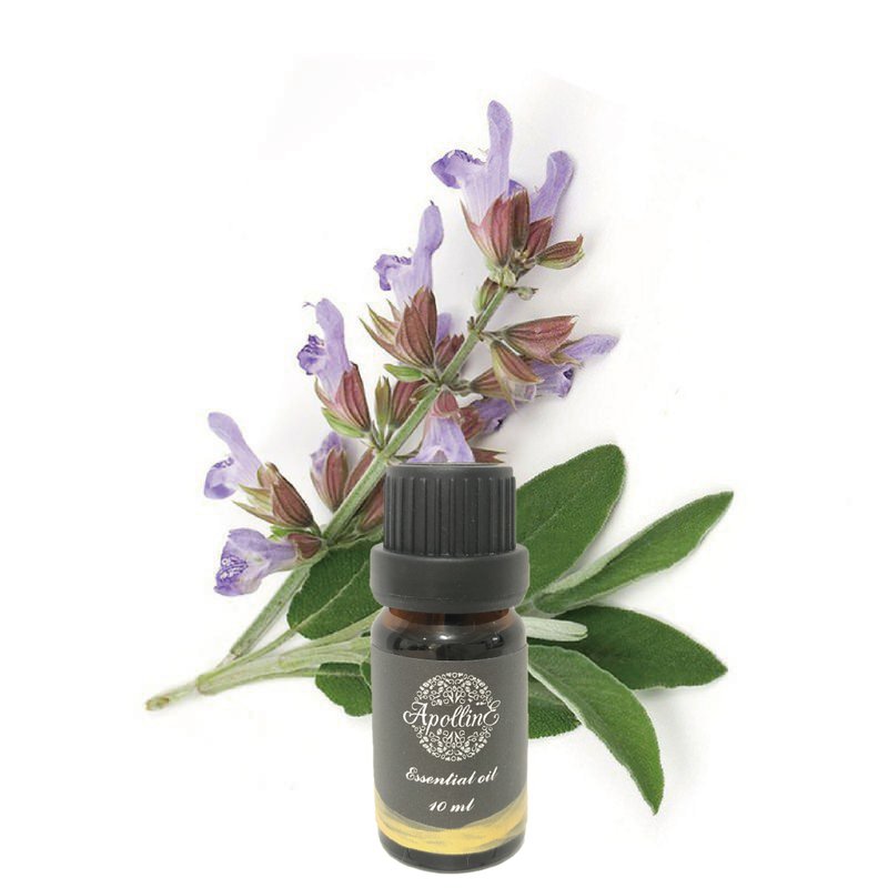 Clary Sage Essential Oil SAGE CLARY - น้ำหอม - น้ำมันหอม 