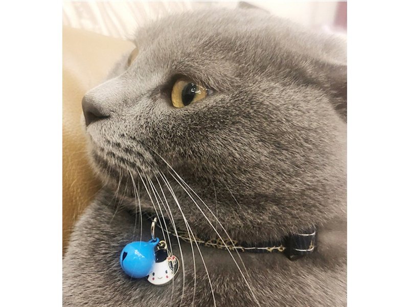 [iC Original] Original handmade cat and dog silent collar Japanese style - Collars & Leashes - Other Materials 