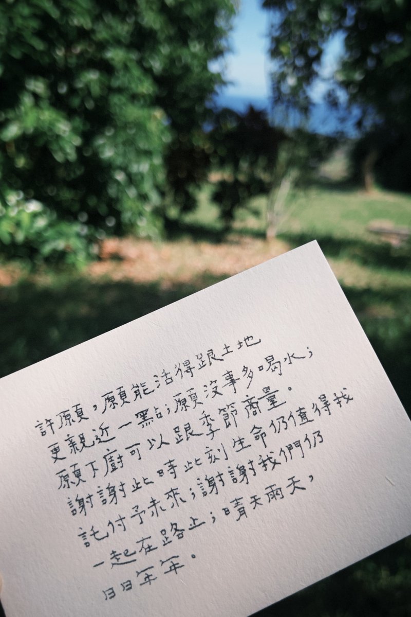 晴天雨天 日日年年 青青的島文字明信片 生日明信片 - 卡片/明信片 - 紙 