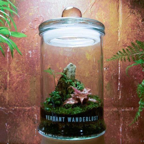 景觀丸藝 Verdant Wanderlust 【生態瓶-象寶奇遇】微景觀 室內植栽 禮物 辦公室擺設