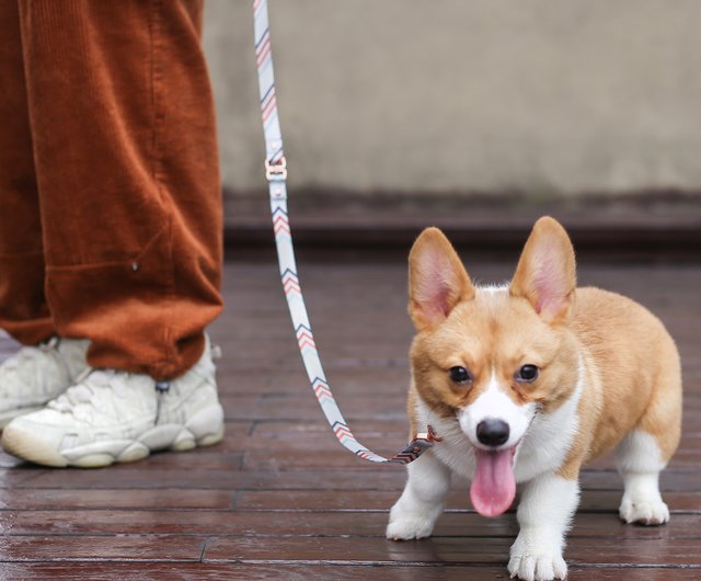 犬用リード 絡まり防止用 安全ロープ 中型犬用 リード用リード ドッグチェーン ショップ Pidan 首輪 リード Pinkoi