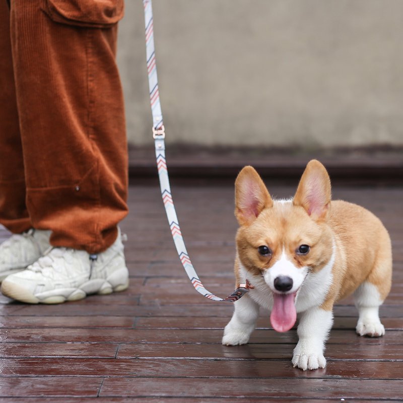 Dog Leash Anti-entanglement Safety Rope Small and Medium-sized Dogs Leash Leash Dog Chain - Collars & Leashes - Nylon Multicolor