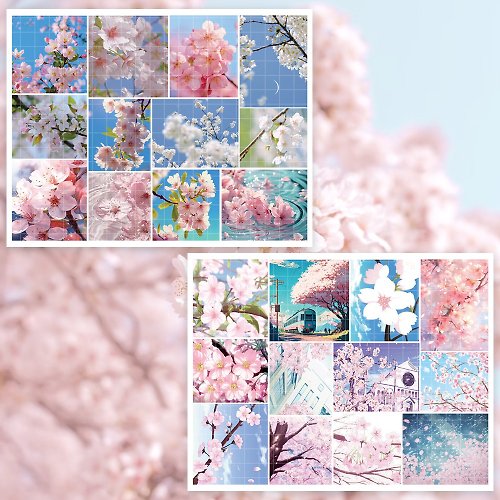 honne market Cherry Blossom Photo + Illustration 2types mix (honne market)