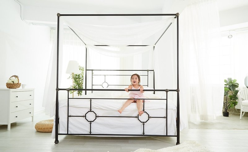 【Double Bed Frame】Modern Series-Heart of the Ocean/Iron Bed Frame/Cat Scratch/Pet Friendly/At Home Installation - เฟอร์นิเจอร์อื่น ๆ - โลหะ สีดำ