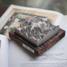 Taiwan Yushan AromaStone - 臺灣山脈擴香石-玉山