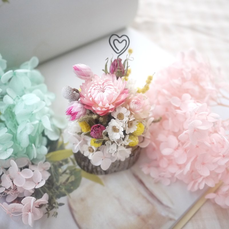 To be continued | small pink flowers and dried flowers potted memo clip wedding gift was a small ceremony bridesmaid gifts Wedding photography props home decoration office was smaller spot treatment - ตกแต่งต้นไม้ - พืช/ดอกไม้ สึชมพู