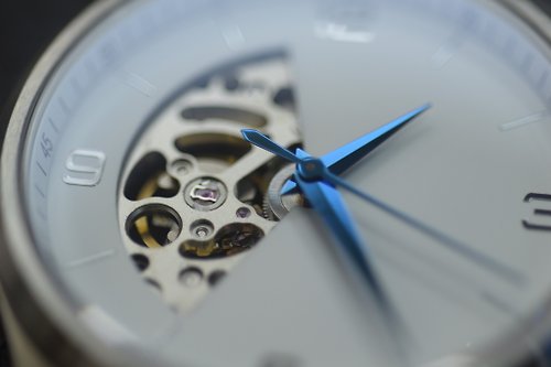 Watchmake HK 藍針369金屬浮雕錶盤/日本製機械錶/鏤空機芯/50米防水/自動上鏈